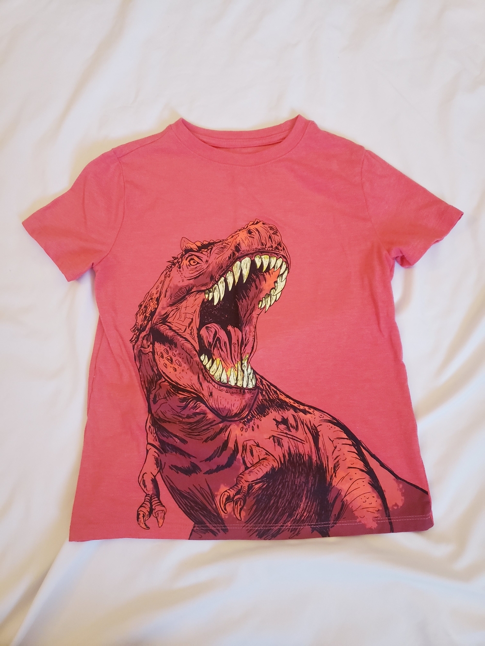 Cat & Jack Boys Small T-Rex Graphic Tee